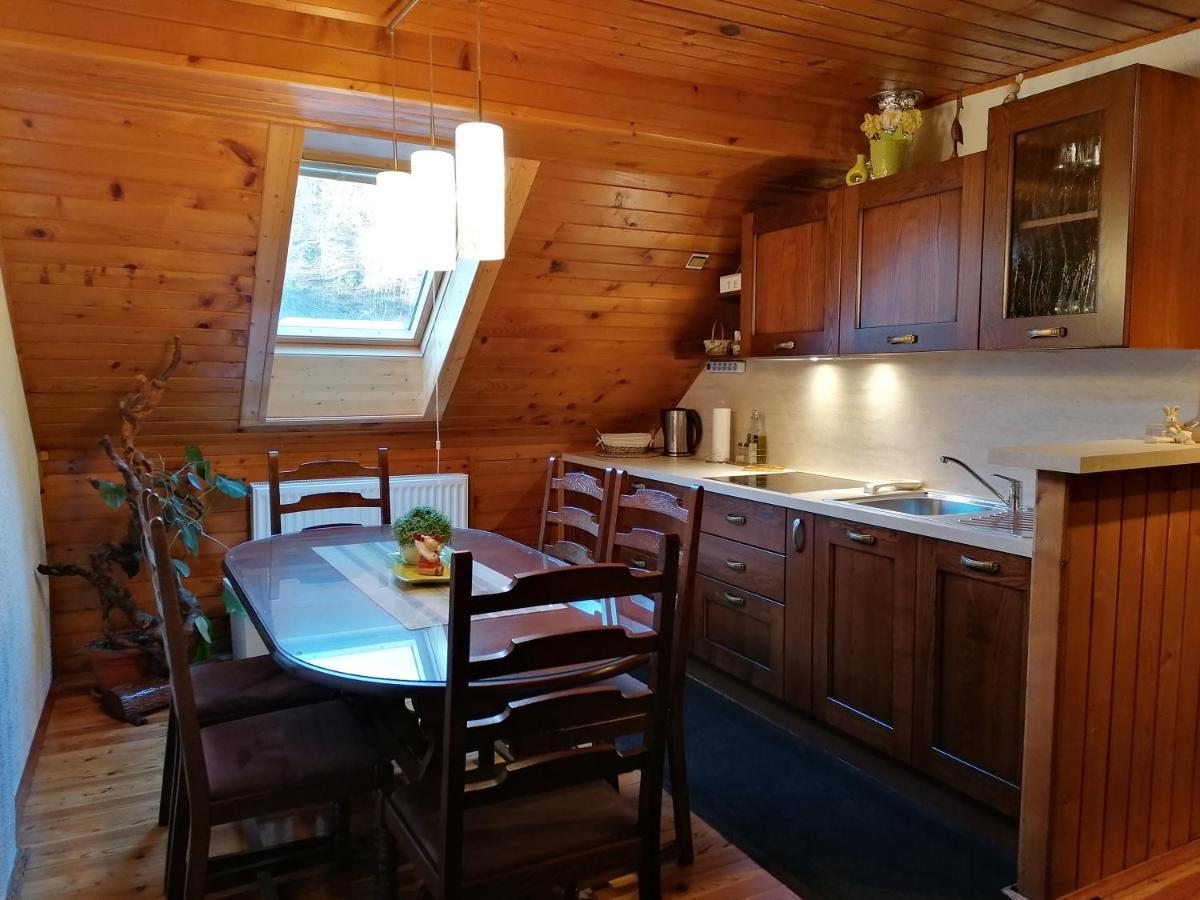 Dolenja Trebusa Apartment Sotocje מראה חיצוני תמונה
